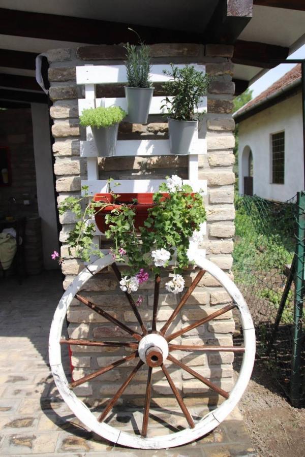 Palic Vila Masa Pr Emina Stipancevic Exterior foto