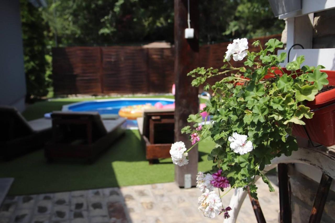 Palic Vila Masa Pr Emina Stipancevic Exterior foto